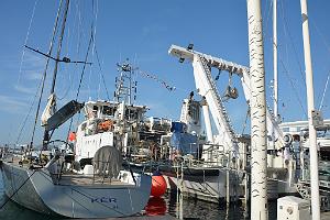 2024 09 21 TOULON- AUTOUR DU PORT (6)